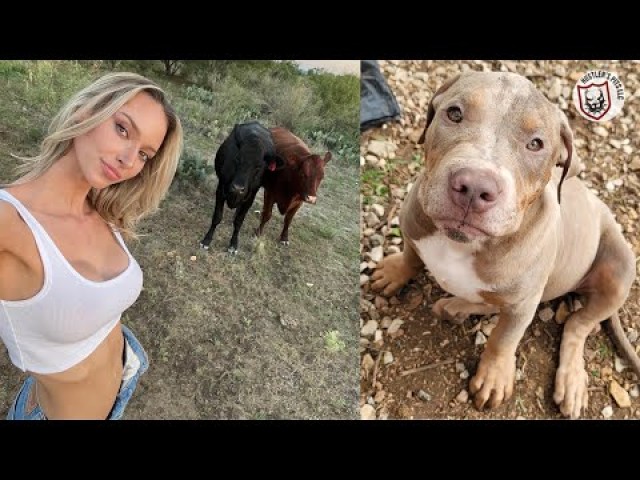 Krystal Preiss Hustler Sit Straight Sex Spits My Video Videos Puppy