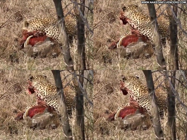 Jman 777 Influencer Straight Leopard Xxx Porn Hot Sex Eating